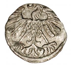 Denar 1558 Zygmunt II August Litwa Wilno