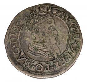 Obrazek dla: Czworak 1568 Zygmunt II August Litwa Wilno
