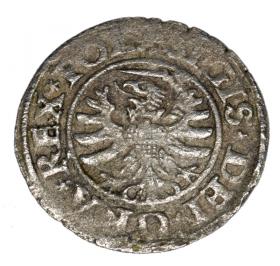 Obrazek 2 dla: Szeląg 1530 Zygmunt I Stary Gdańsk Gdańsk