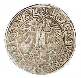 Obrazek 2 dla: Półgrosz 1549 Zygmunt II August Litwa Wilno