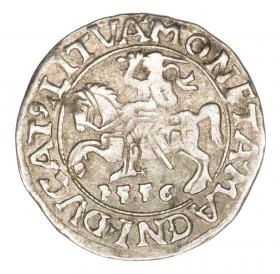 Obrazek dla: Półgrosz 1556 Zygmunt II August Litwa Wilno