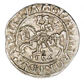 Obrazek dla: Półgrosz 1556 Zygmunt II August Litwa Wilno