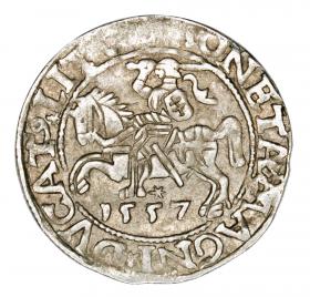 Obrazek dla: Półgrosz 1557 Zygmunt II August Litwa Wilno