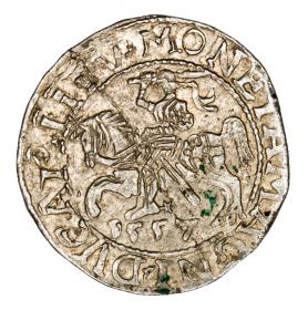 Obrazek dla: Półgrosz 1557 Zygmunt II August Litwa Wilno
