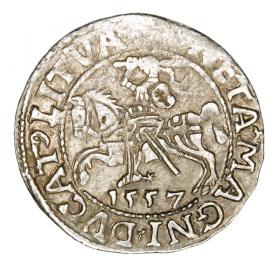 Obrazek dla: Półgrosz 1557 Zygmunt II August Litwa Wilno