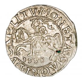 Obrazek dla: Półgrosz 1558 Zygmunt II August Litwa Wilno