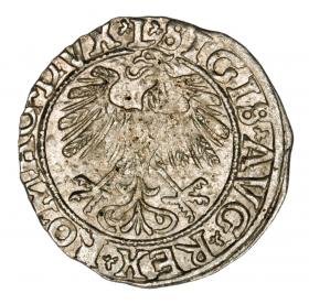 Obrazek 2 dla: Półgrosz 1558 Zygmunt II August Litwa Wilno