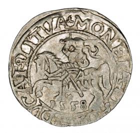 Półgrosz 1558 Zygmunt II August Litwa Wilno