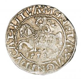 Obrazek dla: Półgrosz 1558 Zygmunt II August Litwa Wilno