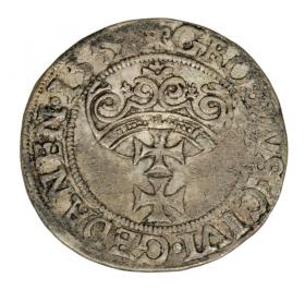 Obrazek 2 dla: Grosz 1557 Zygmunt II August Gdańsk