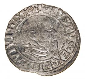 Obrazek dla: Grosz 1546 Albrecht Hohenzollern Księstwo Pruskie Królewiec