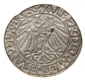 Obrazek 2 dla: 19063