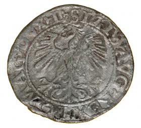 Półgrosz 1560 Zygmunt II August Wilno
