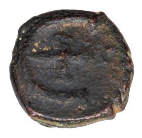 Obrazek 2 dla: 22727