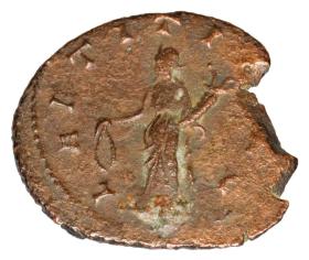 Obrazek 2 dla: 23065