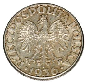 Obrazek 2 dla: 23120