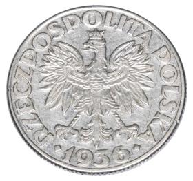 Obrazek 2 dla: 23474