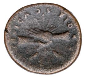 Obrazek 2 dla: 23610