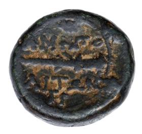 Obrazek 2 dla: 23724