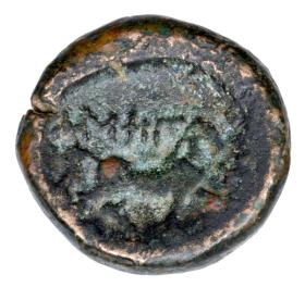 Obrazek 2 dla: 23725