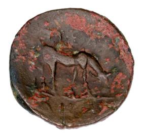 Obrazek 2 dla: 23727