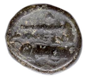 Obrazek 2 dla: 23729