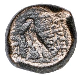 Obrazek 2 dla: 23740