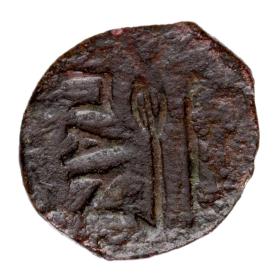 Obrazek 2 dla: 23751